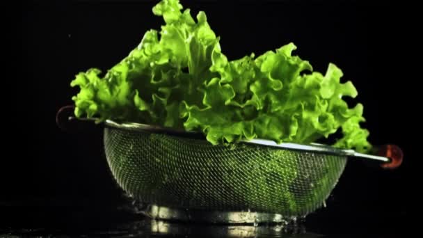 A colander with lettuce leaves will fall on the table. Filmed is slow motion 1000 fps. — Video