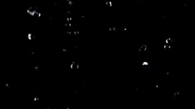 Su damlacıkları düşer. Film, yavaş çekim 1000 fp. Siyah bir arkaplanda.