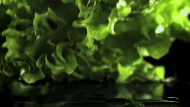 A leaf of fresh lettuce falls on the table. Macro background. Filmed is slow motion 1000 fps. — Stock Video