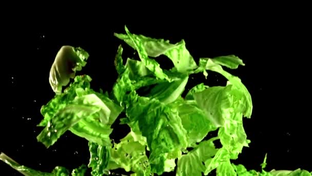 Pieces of lettuce with drops of water rise up and fall down. Filmed is slow motion 1000 fps. — Stock Video