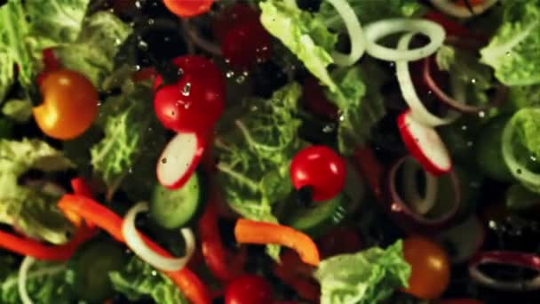 Bucăți Castraveți Roșii Salată Verde Ceapă Zboară Rotește Zbor Privire — Videoclip de stoc