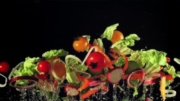 Taze Salatalıklar Domatesler Marul Soğanlar Yükselir Düşer Siyah Bir Arka — Stok video