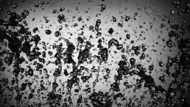 水滴が飛んで落ちてくる 黒を背景に 撮影はスローモーション1000 Fps — ストック動画