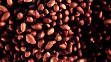 Fıstıklar yükselir ve düşer. Makro arka plan. Üst Manzara. 1000 fps hızla yüksek hızlı bir kamerayla çekildi..