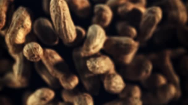 Amendoins Casca Voam Para Cima Giram Voo Num Fundo Preto — Vídeo de Stock