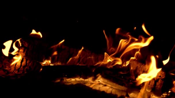 Τζάκι Καίγεται Μια Φωτεινή Φλόγα Από Καυσόξυλα Μαύρο Φόντο Τραβηγμένο — Αρχείο Βίντεο