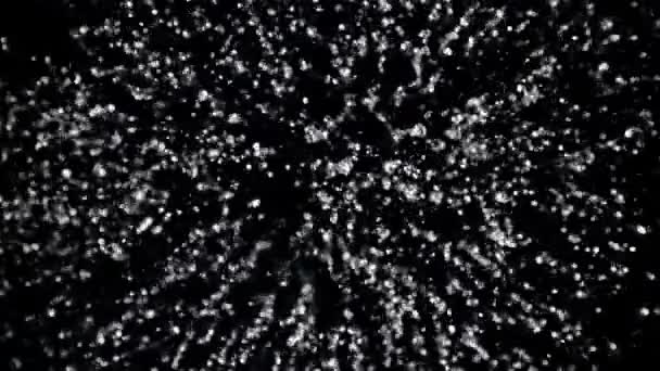 水花飞溅而下 顶部视图 在一个黑色的背景 用1000 Fps的高速相机拍摄 — 图库视频影像