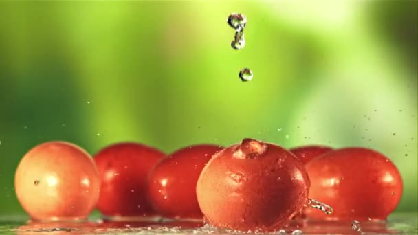 Wassertropfen Fallen Auf Das Rotierende Auf Grünem Hintergrund Gefilmt Wird — Stockvideo