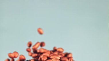 Fıstıklar yükselir ve düşer. Mavi arka planda. 1000 fps hızla yüksek hızlı bir kamerayla çekildi..