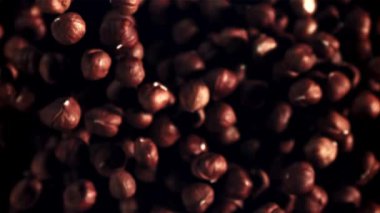 Fındıklar yükselir ve uçarken döner. Üst Manzara. Siyah bir arka planda. Film yavaş çekimde 1000 fp..