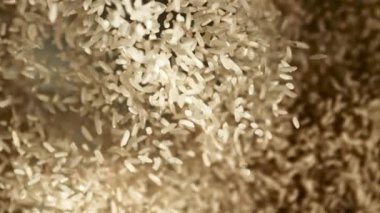 Pirinç yükselir ve düşer. Üst Manzara. Makro arka plan. 1000 fps hızla yüksek hızlı bir kamerayla çekildi..