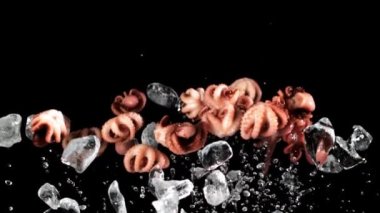 Buzlu haşlanmış ahtapotlar yükselir ve düşer. Siyah bir arka planda. Film yavaş çekimde 1000 fp..