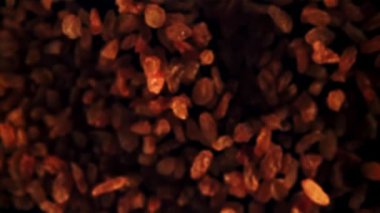 Kuru üzümler yukarı çıkar ve düşer. Siyah bir arka planda. Üst Manzara. 1000 fps hızla yüksek hızlı bir kamerayla çekildi..