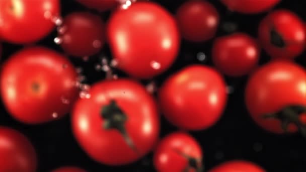 Verse Tomaten Met Druppels Water Vliegen Omhoog Vallen Naar Beneden — Stockvideo