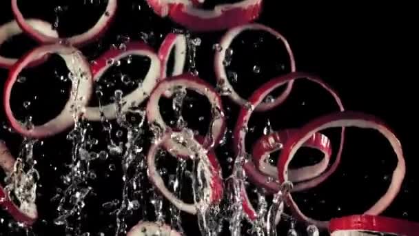 Кольца Красного Лука Капельками Воды Взлетают Падают Черном Фоне Замедленная — стоковое видео
