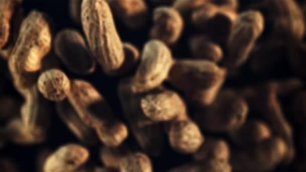 Les Cacahuètes Dans Coquille Volent Tournent Vol Sur Fond Noir — Video
