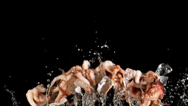 Сырой Осьминог Льдом Брызгами Воды Поднимается Падает Черном Фоне Замедленная — стоковое видео