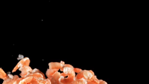 Pile Fresh Shrimp Soars Falls Black Background Filmed Slow Motion — Stock Video