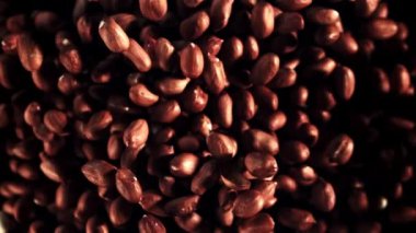 Fıstıklar yükselir ve düşer. Makro arka plan. Üst Manzara. 1000 fps hızla yüksek hızlı bir kamerayla çekildi..