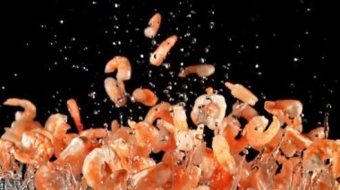 Taze karides uçar ve düşer. Siyah bir arka planda. 1000 fps hızla yüksek hızlı bir kamerayla çekildi..