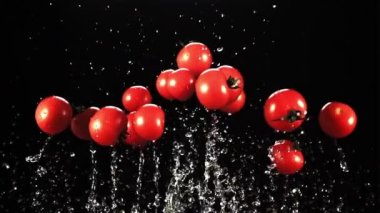 Taze domatesler ve su damlaları yükselir ve düşer. Siyah bir arka planda. Film yavaş çekimde 1000 fp..