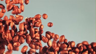 Fıstıklar yükselir ve düşer. Mavi arka planda. 1000 fps hızla yüksek hızlı bir kamerayla çekildi..