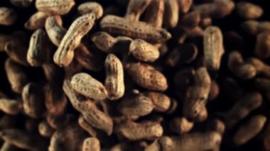 Kabuktaki fıstıklar yükselir ve düşer. Makro arka plan. Üst Manzara. Film yavaş çekimde 1000 fp..