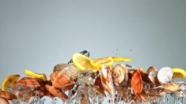 新鲜的柠檬贻贝上升下坠 蓝色的背景 用1000 Fps的高速相机拍摄 — 图库视频影像