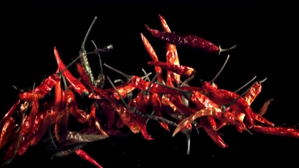 Pods Dried Chili Peppers Fly Fall Black Background Filmed High — Stock Video