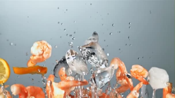 Garnélarák Jégkockákkal Citromszeletekkel Felrepül Leesik Kék Háttérrel Film Lassított Felvétel — Stock videók