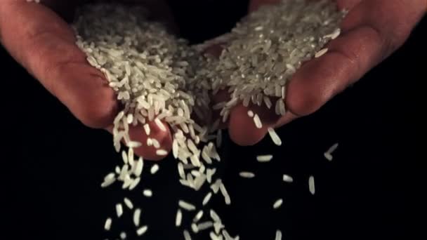 Aus Den Palmen Fließt Roher Reis Auf Schwarzem Hintergrund Gefilmt — Stockvideo