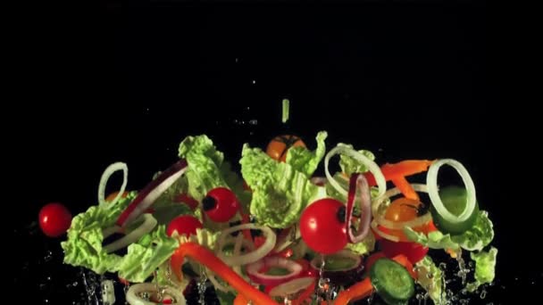 Scheiben Geschnittener Salat Zwiebeln Paprika Und Tomaten Steigen Und Fallen — Stockvideo