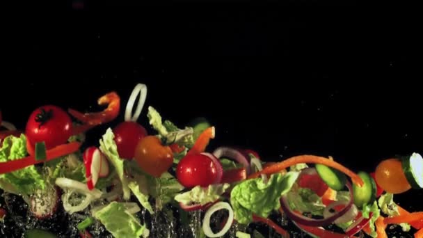 Scheiben Geschnittener Salat Zwiebeln Paprika Und Tomaten Steigen Und Fallen — Stockvideo