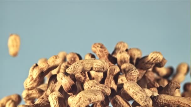 Erdnüsse Der Schale Steigen Und Fallen Auf Blauem Hintergrund Gefilmt — Stockvideo