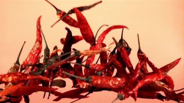 Sušené Chilli Papričky Létají Nahoru Dolů Růžovém Pozadí Natočeno Vysokorychlostní — Stock video