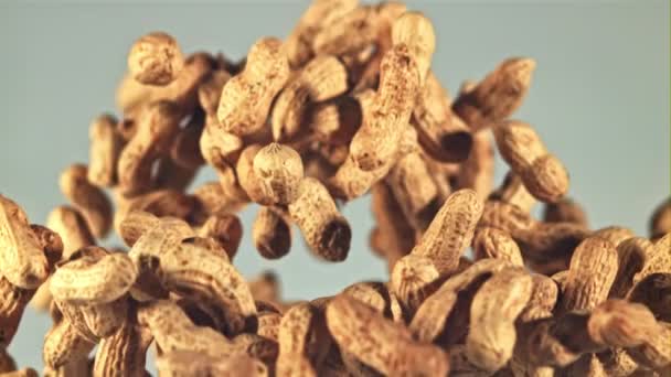Erdnüsse Der Schale Steigen Und Fallen Auf Blauem Hintergrund Gefilmt — Stockvideo