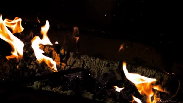 Καμένα Καυσόξυλα Σπάνε Μια Φωτιά Στο Φούρνο Μαύρο Φόντο Υψηλής — Αρχείο Βίντεο