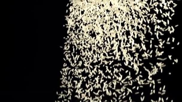 Ein Haufen Reis Fällt Herunter Auf Schwarzem Hintergrund Gefilmt Wird — Stockvideo