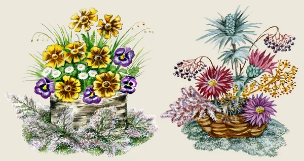 Posies van wilde en gekweekte bloemen — Stockfoto
