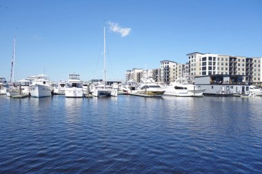 Wilmington NC şehir merkezindeki Cape Fear nehri boyunca nehir kenarında bir marina, yüzen evler ve tekneler.