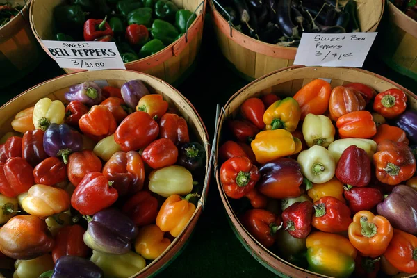 Poivrons Doux Cultivés Localement Vendre State Farmers Market Raleigh — Photo