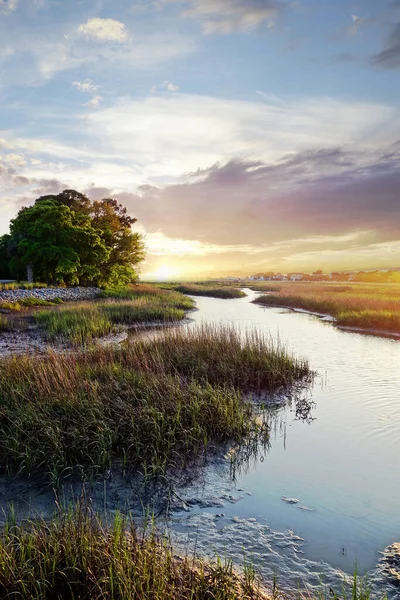 Coastal Homes Distance Marsh Waterways Low Country Charleston Sunset — Stockfoto