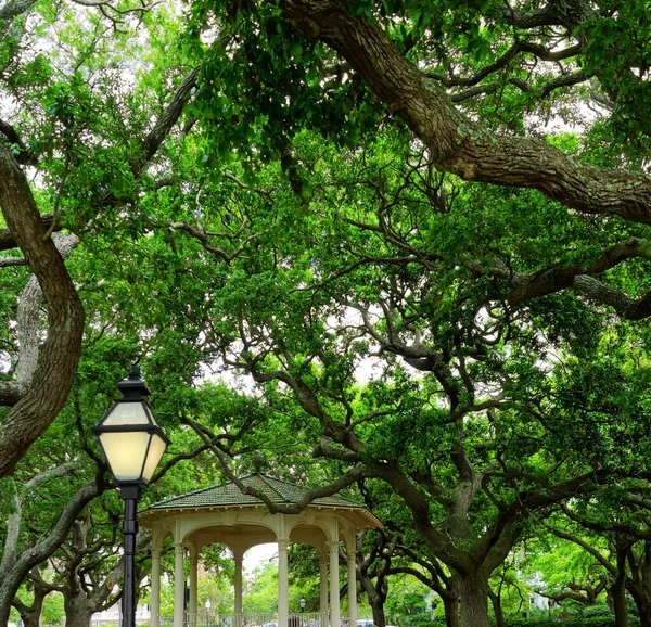 Waterfront Park Vicino Porto Charleston Carolina Del Sud — Foto Stock