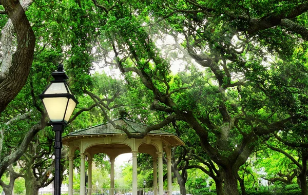 Waterfront Park Lado Porto Charleston Carolina Sul — Fotografia de Stock