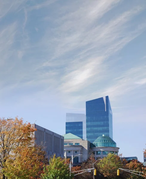 North Carolina Museum Natural Sciences Center Museum History Left Downtown — Stockfoto