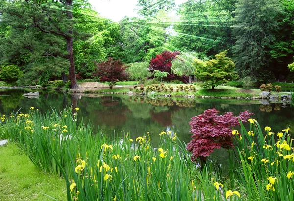 Richmond Virginia 'daki Maymont Gardens parkında su manzarası  