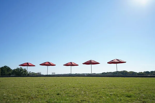 Ombrelli Che Affacciano Sul Giardino Delle Sculture Sul Parco Del — Foto Stock