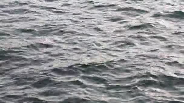 Blåsiga havet ytbehandlar — Stockvideo