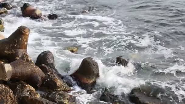 Vågorna kraschar på steniga havsstrand — Stockvideo