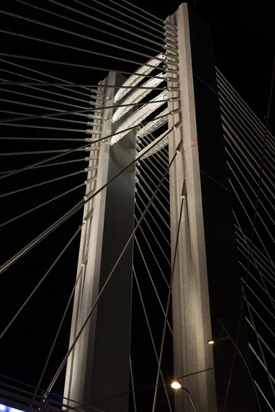 Basarab bridge hög pelare — Stockfoto